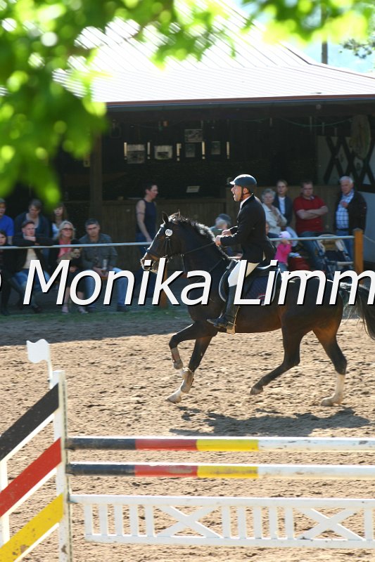 104M8900_Spring M_m.Stechen.JPG